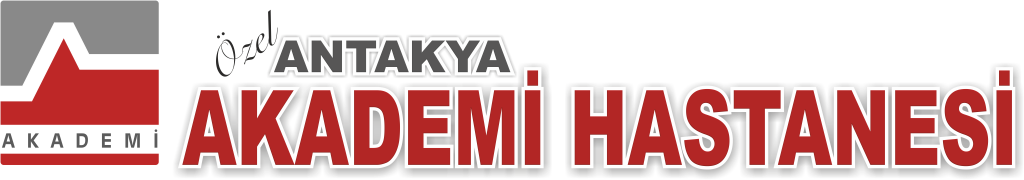 akademilogo[1]